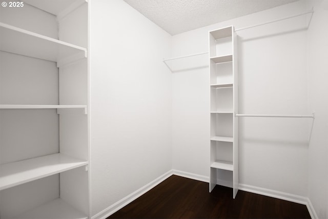 spacious closet with dark wood-style flooring