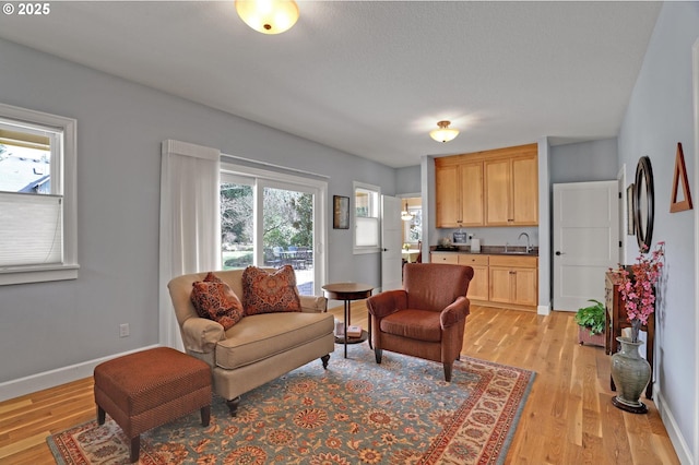 living area featuring baseboards and light wood finished floors