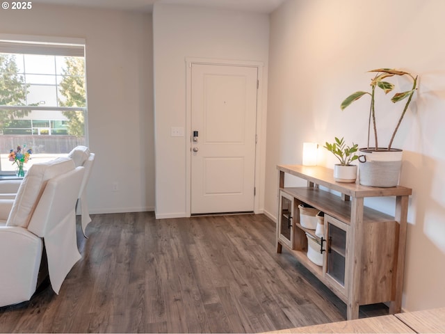 foyer entrance featuring dark wood-type flooring