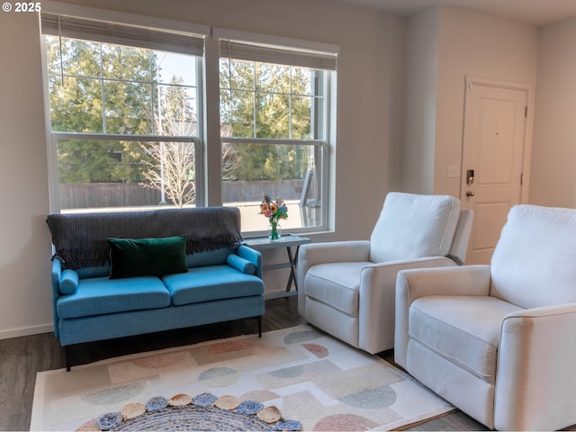 living room featuring hardwood / wood-style flooring