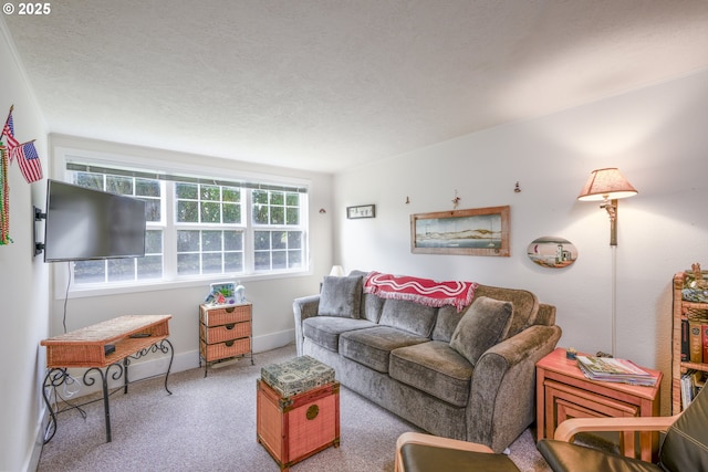 carpeted living area with baseboards