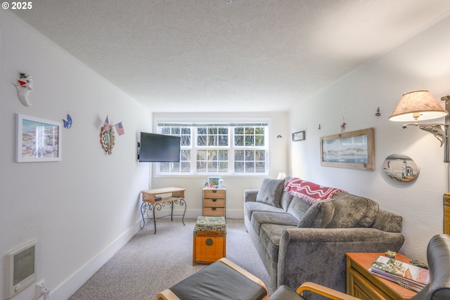 living area with heating unit, baseboards, carpet floors, and a textured ceiling