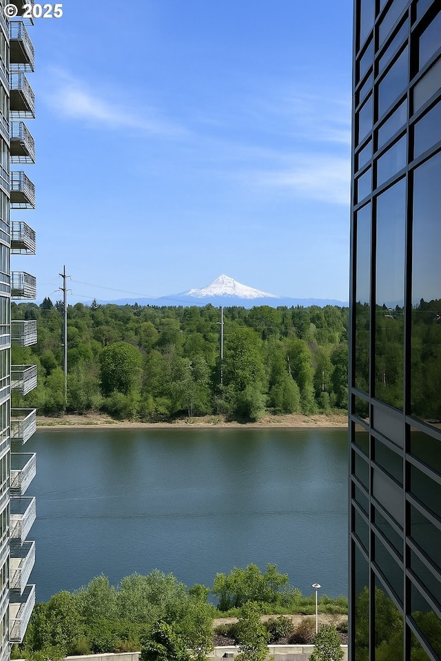 view of water feature