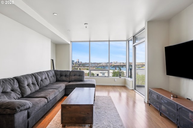 living room with wood finished floors