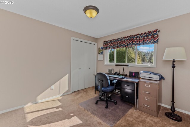 home office with light colored carpet and baseboards