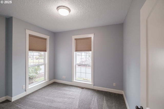 spare room with carpet floors, a textured ceiling, and a wealth of natural light