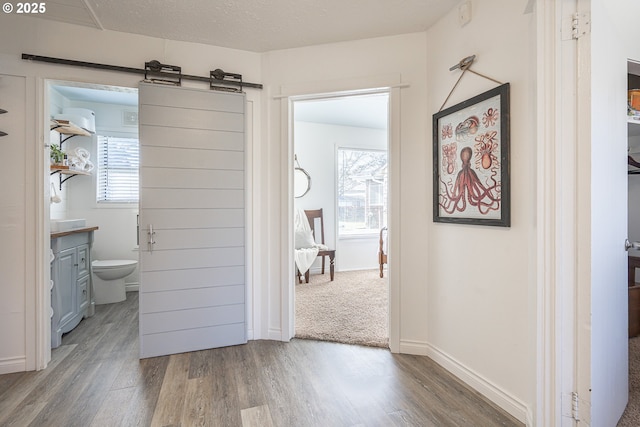 interior space featuring toilet, a textured ceiling, wood finished floors, baseboards, and vanity