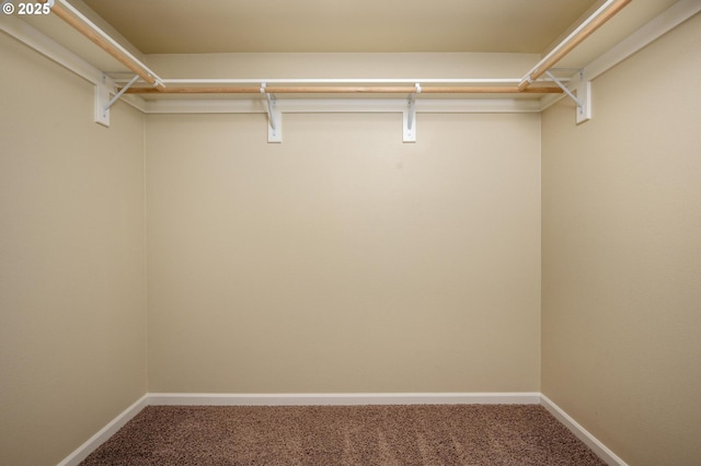 20937 SW Edgemont St, Beaverton, OR 97003 - spacious closet featuring carpet