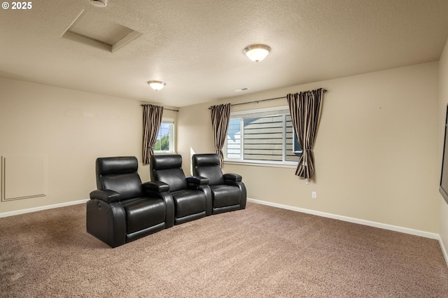 20937 SW Edgemont St, Beaverton, OR 97003 - carpeted cinema room featuring a textured ceiling and baseboards
