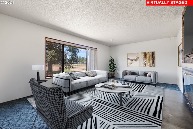 living room featuring a textured ceiling