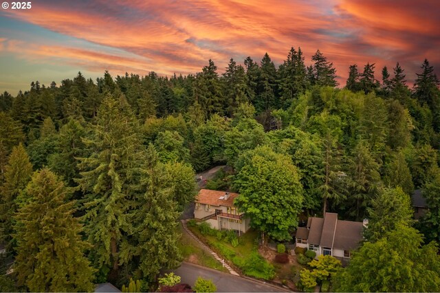 1610 Lee St, Lake Oswego, OR 97034 - aerial view of a forest