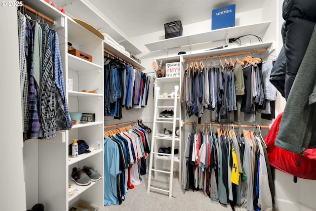 walk in closet featuring carpet