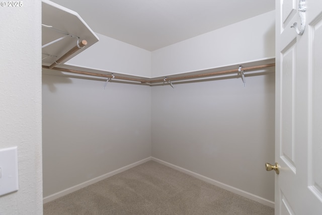 spacious closet with carpet