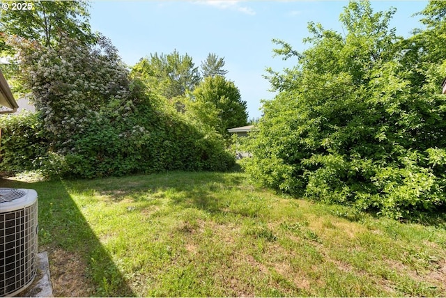 view of yard with central AC
