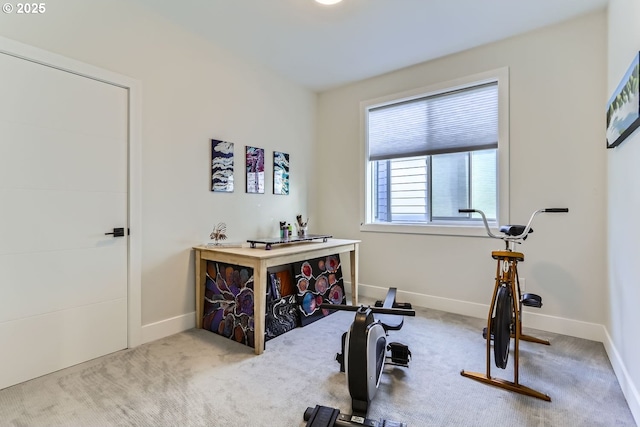 exercise room featuring carpet floors