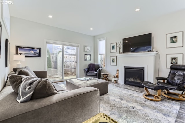 living room featuring wood-type flooring