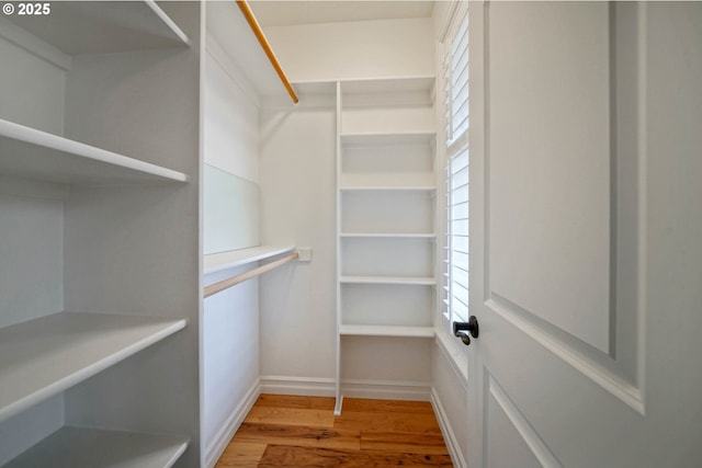 walk in closet with light wood-type flooring