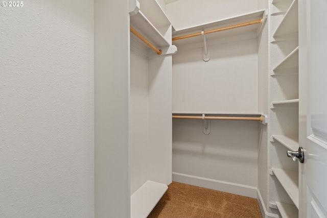 1748 Hardin Ave NW, Salem, OR 97304 - spacious closet with carpet