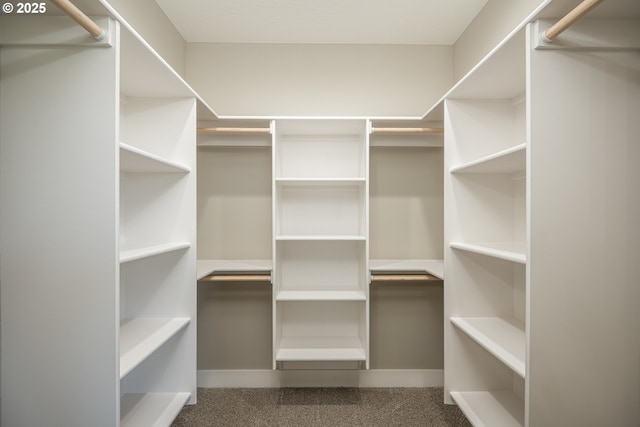 24934 Westfield Ave, Veneta, OR 97487 - spacious closet featuring carpet