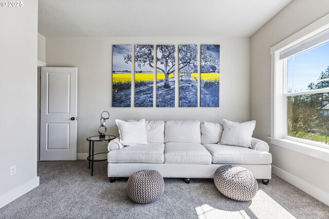 12329 SW Athens Ln, Wilsonville, OR 97070 - carpeted living room with plenty of natural light and baseboards