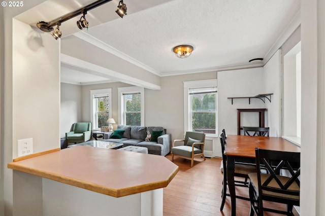 kitchen with wood finished floors, a peninsula, ornamental molding, rail lighting, and a textured ceiling