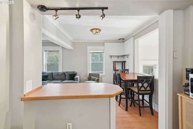 kitchen featuring plenty of natural light, light wood-type flooring, open floor plan, and ornamental molding