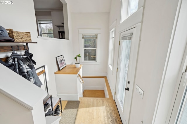 entrance foyer featuring baseboards and wood finished floors