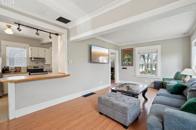 living area with light wood finished floors, visible vents, and baseboards