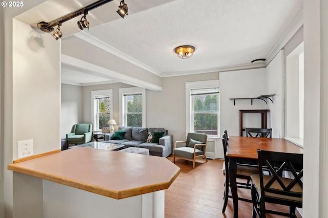 4822 N Vanderbilt St, Portland, OR 97203 - living room with hardwood / wood-style floors, crown molding, and rail lighting