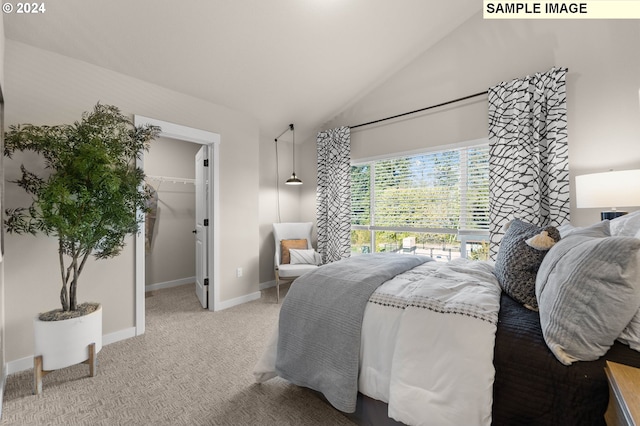 bedroom with carpet floors, lofted ceiling, a spacious closet, and a closet