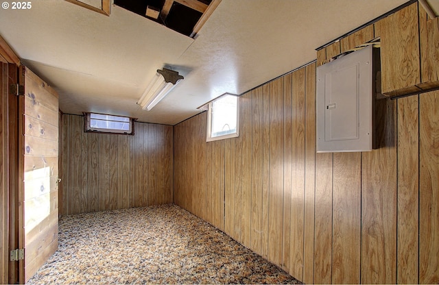 basement with electric panel and wooden walls