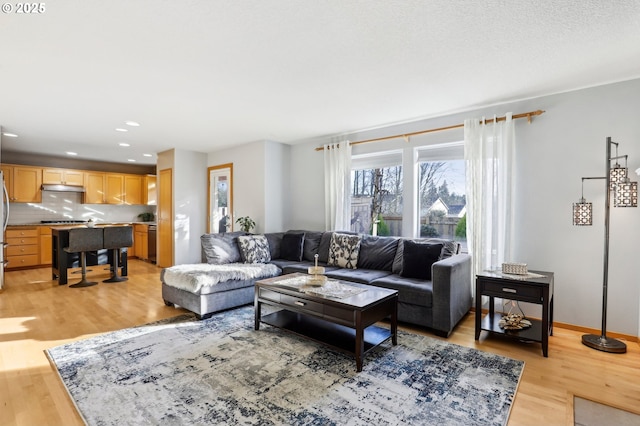 living room featuring light wood-type flooring