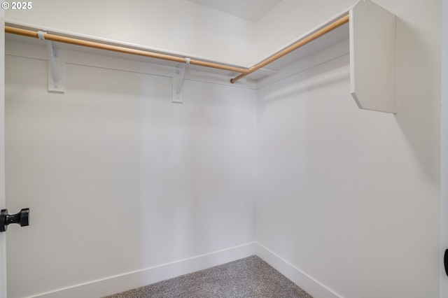 spacious closet with carpet flooring