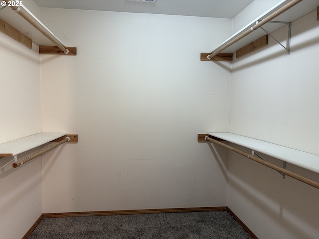 16117 NE 87th St, Vancouver, WA 98682 - walk in closet featuring carpet