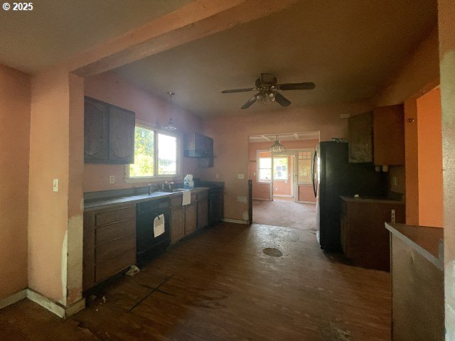 7224 SW 3rd Ave, Portland, OR 97219 - kitchen featuring a ceiling fan, a wealth of natural light, black dishwasher, and dark wood-style flooring
