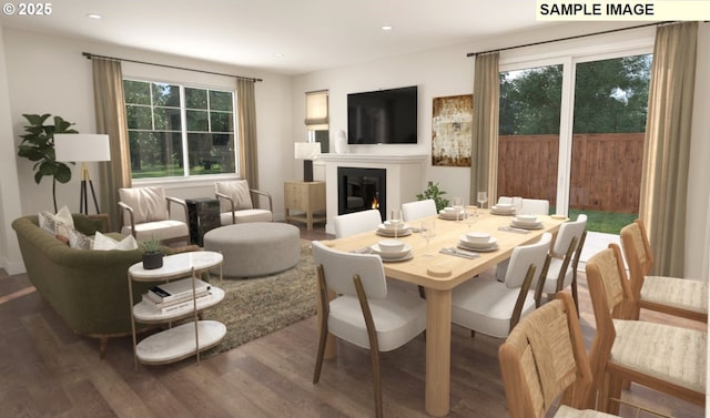 dining room with dark hardwood / wood-style flooring