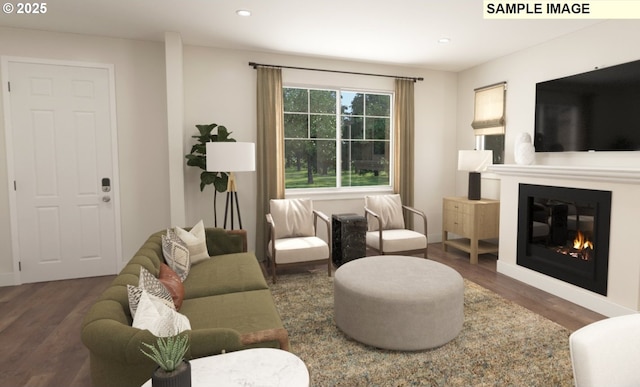 living room featuring dark hardwood / wood-style flooring