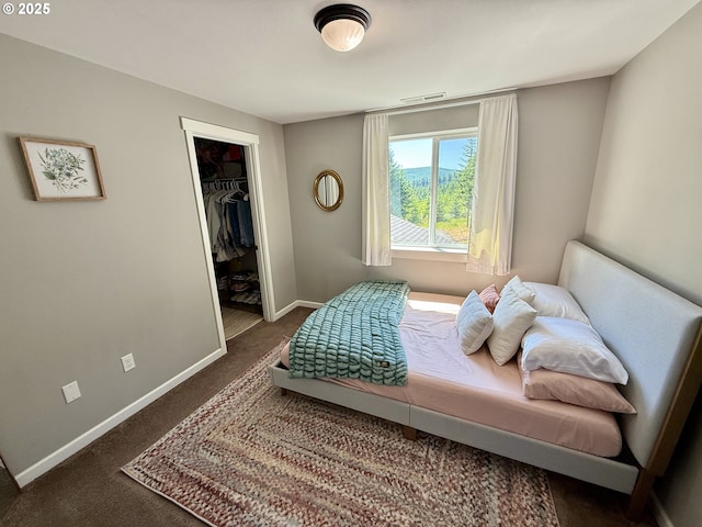 94703 Johnson Rd, Marcola, OR 97454 - carpeted bedroom with a walk in closet and a closet