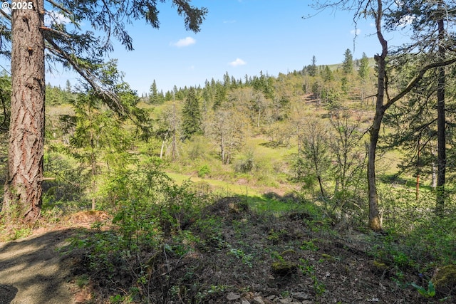 view of landscape featuring a view of trees