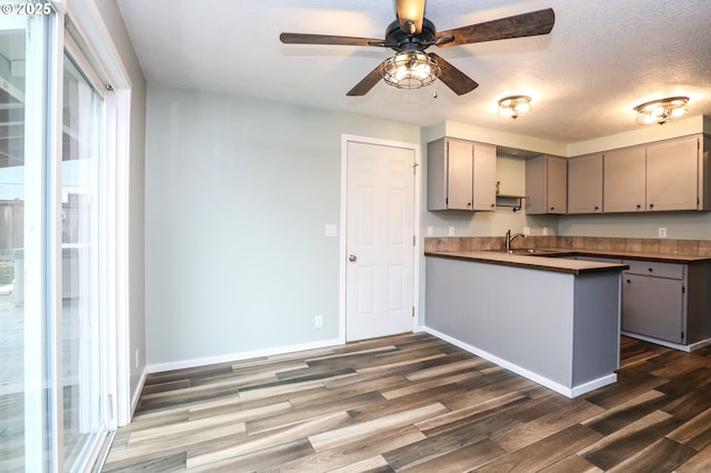 kitchen featuring kitchen peninsula, gray cabinets, ceiling fan, and dark wood-type flooring