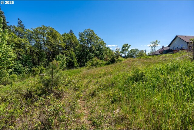 NE Stauch Ave, White Salmon, WA 98672