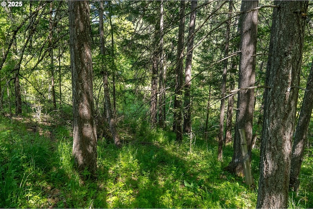 NE Stauch Ave, White Salmon, WA 98672