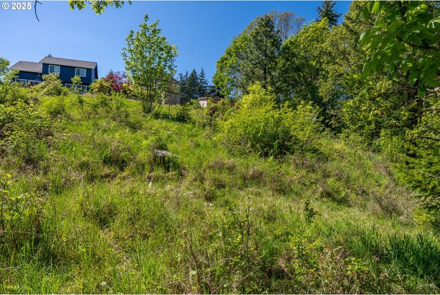 NE Stauch Ave, White Salmon, WA 98672