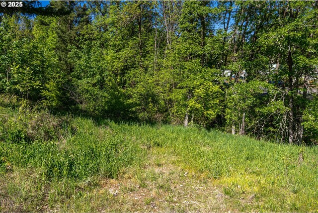 NE Stauch Ave, White Salmon, WA 98672