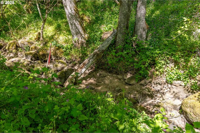 NE Stauch Ave, White Salmon, WA 98672