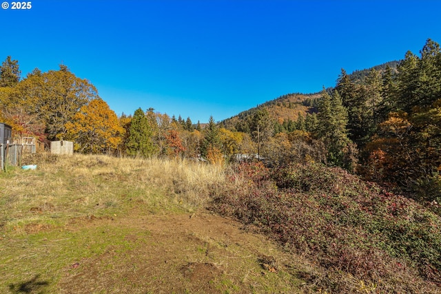 NE Stauch Ave, White Salmon, WA 98672