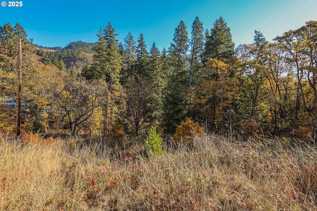 NE Stauch Ave, White Salmon, WA 98672
