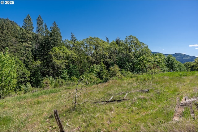 NE Stauch Ave, White Salmon, WA 98672