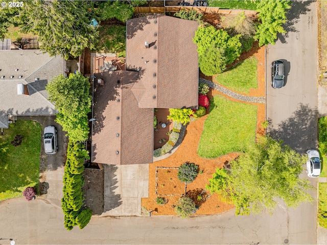 aerial view