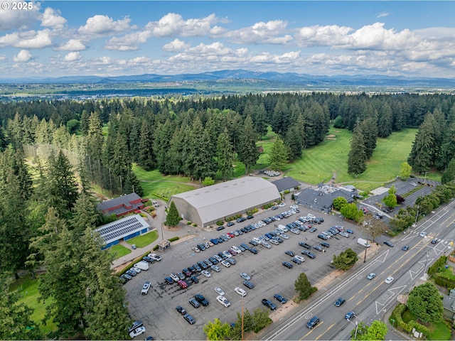 bird's eye view featuring a view of trees and a mountain view